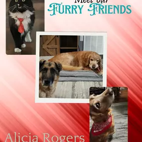 We love our furry friends as much as you! Insure them with Alicia Rogers - State Farm Insurance Agent