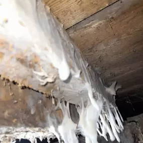 Bild von Eradicure Ltd