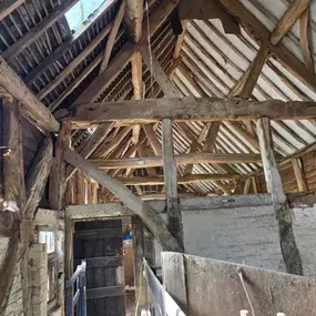 Bild von Eradicure Ltd