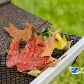 Fall gutter leaves cleaning