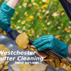 Gutter Cleaning