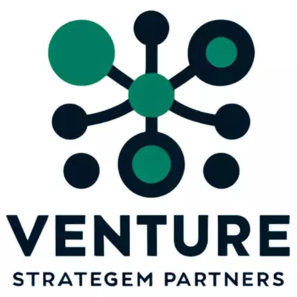 Logotipo de Venture Strategem Partners