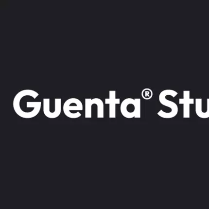 Logo from Guenta Flow