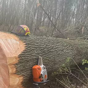 Bild von entreprise forestière beaudoin