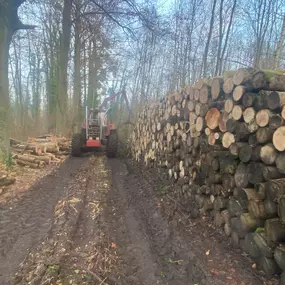 Bild von entreprise forestière beaudoin