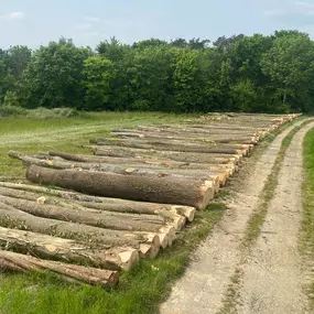 Bild von entreprise forestière beaudoin