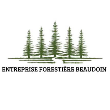 Λογότυπο από entreprise forestière beaudoin