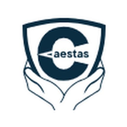 Λογότυπο από c-aestas