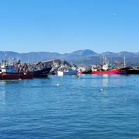 Bild von 5Ñ de Santoña | MEJORES ANCHOAS SANTOÑA