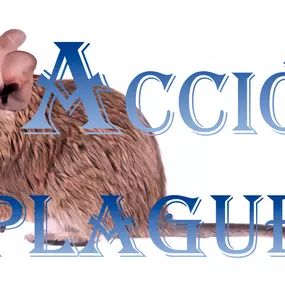 Bild von Acció Plagues