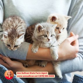 Every pet owner wants to make sure their animal companion receives timely and effective care. Pet insurance could make that a reality. Reach out to Ann Sullivan State Farm Agent for a discussion! #PetInsurance #AnnSullivanStateFarmAgent #ProtectYourPets See less