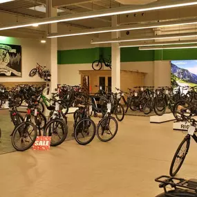 Bild von e-motion e-Bike Welt, Dreirad- & Lastenfahrrad-Zentrum Vogtland