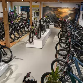 Bild von e-motion e-Bike Welt, Dreirad- & Lastenfahrrad-Zentrum Starnberger See