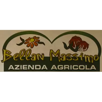 Logo from Bellan Massimo Azienda Agricola