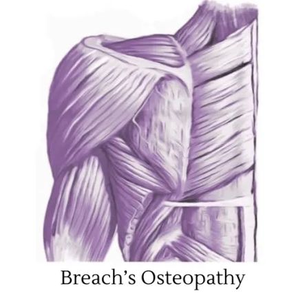 Logo from Breach's Osteopathy