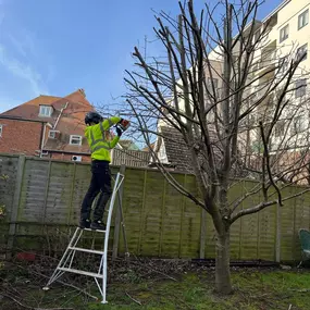 Bild von A.L.M Tree Care Ltd