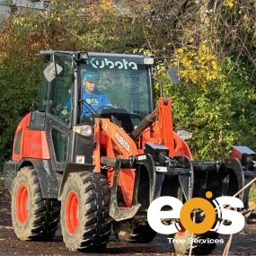 Bild von eos Tree Services