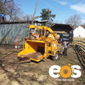 Bild von eos Tree Services