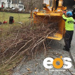 Bild von eos Tree Services