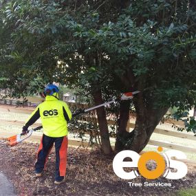 Bild von eos Tree Services