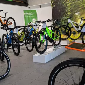 Bild von e-motion e-Bike Welt, Dreirad-Zentrum & Lastenfahrrad-Zentrum Reutlingen