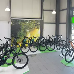 Bild von e-motion e-Bike Welt, Dreirad-Zentrum & Lastenfahrrad-Zentrum Reutlingen
