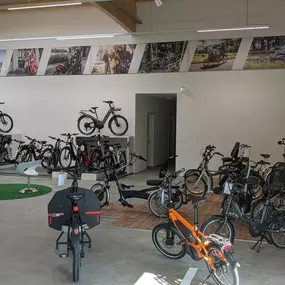 Bild von e-motion e-Bike Welt, Dreirad-Zentrum & Lastenfahrrad-Zentrum Westhausen