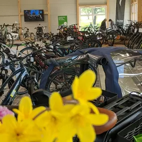 Bild von e-motion e-Bike Welt, Dreirad-Zentrum & Lastenfahrrad-Zentrum Westhausen