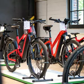 Bild von e-motion e-Bike Welt, Dreirad- & Lastenfahrrad-Zentrum Werder