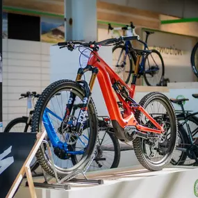 Bild von e-motion e-Bike Welt, Dreirad- & Lastenfahrrad-Zentrum Werder