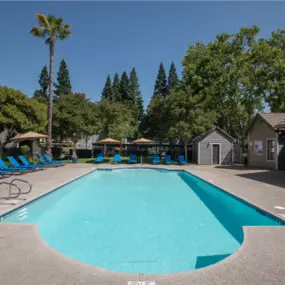 swimming pool deck