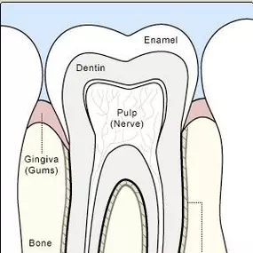 Bild von Lacamas Dental