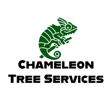 Logotipo de Chameleon Tree Services