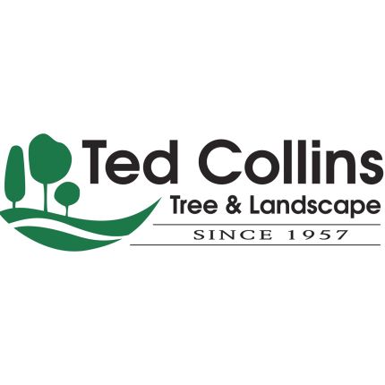 Logo da Ted Collins Tree & Landscape