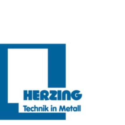 Logotyp från HERZING GmbH