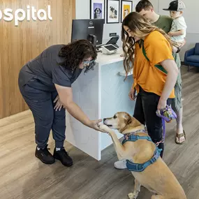 Bild von Livewell Animal Hospital of Edmond