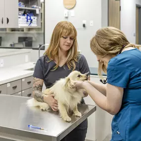 Bild von Livewell Animal Hospital of Edmond