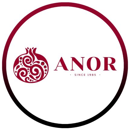 Logo da Anor 1985 Restaurant
