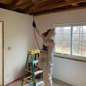 Mold can cause structural damage and severe health problems, but our IICRC certified trained technicians at weDRY Restoration have you and your property covered.