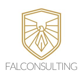 Bild von Falconsulting