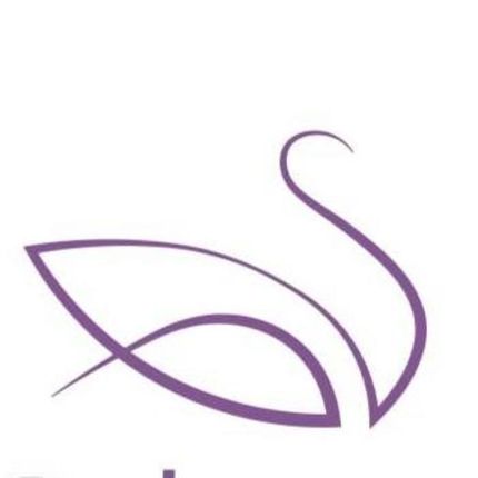 Logo from Ballettstudios und Ballettschule Nicole Schoenewolf