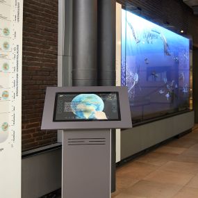 Am Terminal können sich die Besucher digital informieren.