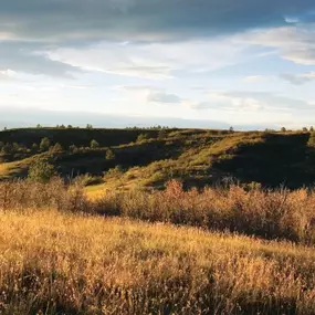 Beautiful views of the Front Range