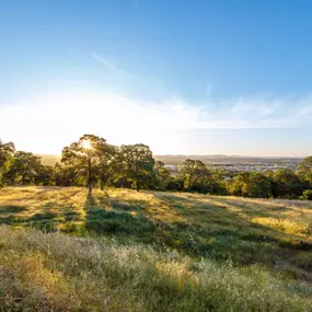 Sunrise at Ridgeline at Bickford