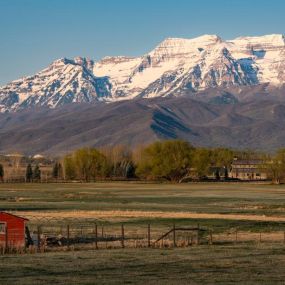 Exceptional views of Mount Timpanogos