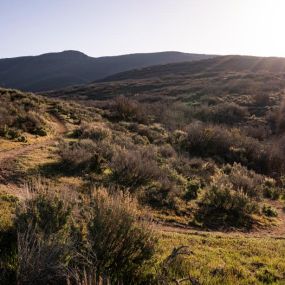 Hiking and biking trails