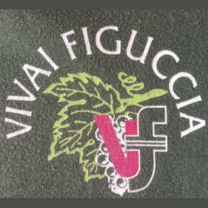 Logo van Vivai Figuccia S.a.s