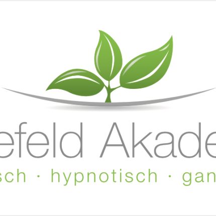 Λογότυπο από Hollefeld Akademie