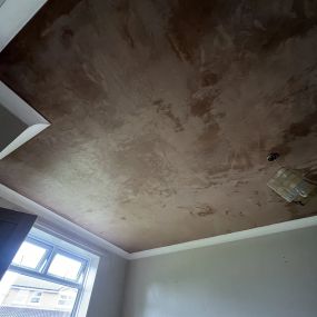 Bild von Roy's Plastering Services