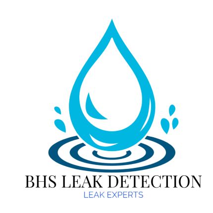 Logo from Bhs Leak Detection